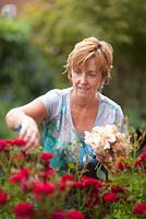 Angie Barker, garden designer dead heading Peony and Rose 'George Best' in her garden at 40 Acreswood Avenue