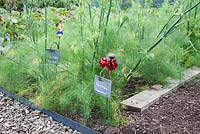 Slate plant label,  with rusted iron support and painted red flowers, marking out rows of Fennel 'Romanesco' in a kitchen garden in September  
