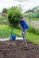 Woman raking over soil in an allotment patch