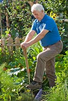 Man digging in vegetable garden.