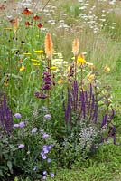 Jordans Wildlife Garden. Naturalistic planting with kniphofia, veronica and cow parsley. Designer: Selina Botham - Sponsor: Jordans Cereals