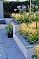 Raised beds planted with grasses and agapanthus in a low maintenance contemporary garden. Description: Vogue. Designer: Belinda Belt Sponsor: London Stone Crowder's Nursery