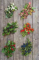 Display of Snowberry, Spindle, Dogwood, Rose hip, Hawthorn and Sloe.