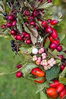 Detail of Crataegus - Hawthorn, Euonymus - Spindle and Rosa - Rose hip combination.