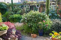 A courtyard garden features reclaimed and salvaged objects amongst strongly shaped plants including clipped lonicera, cardoons, tall thin conifers, acers and lots of roses. 