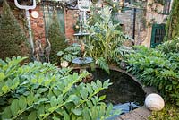 A fountain surrounded by strongly shaped foliage plants including hostas, Solomon's Seal, clipped lonicera, cardoons and roses in a courtyard garden. 