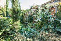 A fountain surrounded by strongly shaped foliage plants including hostas, Solomon's Seal, clipped lonicera, cardoons and tall thin conifers in a courtyard garden.