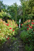 Rosa 'Glad Tidings' frames a white statue forming a focal point at the end of the garden. 