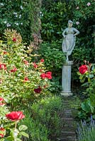 Rosa 'Glad Tidings' frames a white statue forming a focal point at the end of the garden. 
