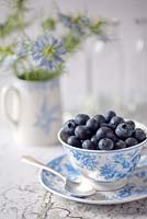 Blueberries - Vaccinium corymbosum in a teacup with Nigella damascena in a jug