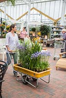 Woman at a garden centre pushing trolley of plants through the shopping area