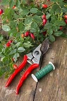 Materials needed to make a rosehip wreath are Secateurs, Rose hips and Twine. 