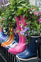 Wellingtons planted with campanula and cosmos flowers.