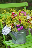 Floral display of Alchemilla mollis and Sweet peas in a watering can