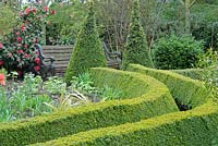 Path edged with trimmed box hedging, in a spring garden, leading to garden seat