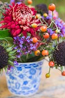 Floral display of rose hips, helianthus seed heads, verbena and chrysanthemum in blue and white tea cup. 