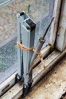 Automatic greenhouse vent opener mechanism, disabled and secured to prevent high wind damage during winter.