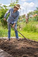 Woman raking the soil and preparing bed for planting. 