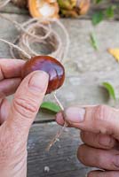 Gently pull the Jute twine through the Conker. 