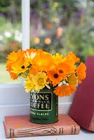 Floral display of calendula in vintage coffee tin, with view from window to garden