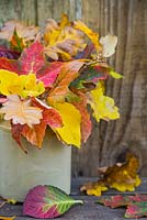 Variety of autumnal leaves stuffed into a jug. 