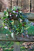 Christmas wreath made from foraged foliage attached to a fence.   The wreath includes sprigs of holly and ivy.