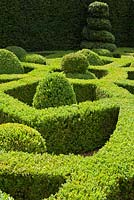 Buxus Sempervirens - Common Box. Parterre knot garden in summer at Wilkins Pleck, NGS