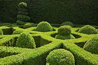 Buxus Sempervirens - Common Box. Parterre knot garden in summer at Wilkins Pleck, NGS
