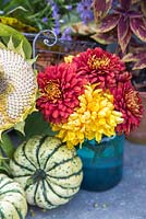 Autumnal display of Chrysanthemums, Helianthus - Sunflower seed head, Coleus and Squash 'Sweet Dumpling'