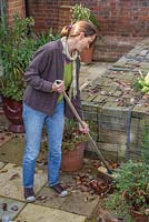 Woman sweeping up autumnal leaves from a garden patio
