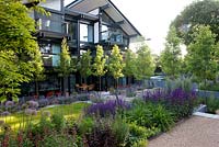 Contemporary garden with repeated planting - including an avenue of Pyrus 'Chanticleer' with Nepeta 'Six Hills Giant'
