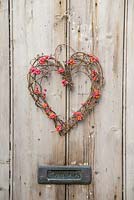 A heart shaped euonymus spindle wreath, hanging on a wooden door