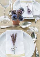 Table place setting featuring the use of Pennisetum setaceum 'Rubrum' and Echinops ritro