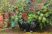 Cast Iron container with Rosa - Rose hips, Hedera - Ivy and Prunus spinosa - Sloeberry