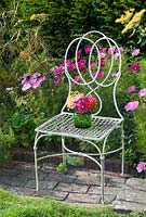 Cut garden flower arrangement - pink cosmos and fennel flowers on antique garden seat