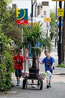 Palm being pushed along an Islington street in trolley with two small boys holding onto the handles - North London. 