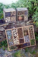 Homemade insect boxes made using dried flower heads and stems