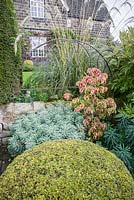 Clipped yew ball surrounded by glaucous euphorbias, cornus, grasses and tree peony beside the drive. 