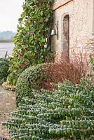 Brick terrace at the front of the Elizabethan house is framed with strong foliage plants including hypericum, variegated euonymus, clipped box and tall magnolia grandiflora.