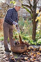 Man sweeping up autumn leaves on patio using home made birch broom.