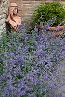 Nepeta 'Six Hills Giant' - Catmint, with terracotta bust and Buxus ball - Box in terracotta pot.