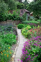 Stone pathway leads through cottage garden edged  with Geranium psilostemon, Centranthus ruber, Astrantia 'Hadspen Blood', Alchemilla mollis and vegetables including netted Brassicas, potatoes, flowers for cutting including  Eschscholzia californica. 