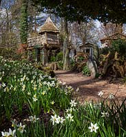 Spring daffodils and the thatched tree house 'Hollyrood House' in the Stumpery, designed by Julian and Isabel Bannerman, April 2013