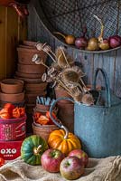 Potting bench corner in Autumn with apples and winter squashes.