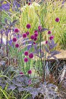 Allium sphaerocephalon, Actaea simplex 'James Compton' and Pennisetum setaceum 'Rubrum' with a view to a water feature. Garden: The One Show Garden. RHS Hampton Court Flower Show, July 2014