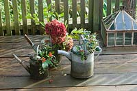 Christmas decorations from your garden - picked branches of evergreens and flower heads ingalvanised watering cans
