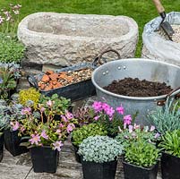 Practical step-by-step guide to planting a stone alpine trough with rock plants. In preparation, stone trough with drainage holes, bag of grit, bowl of John Innes No. 2, gravel, crocks and pots of alpine plants.