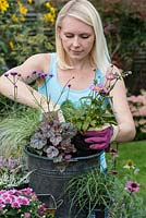 Planting a salvaged pot step by step. Add the taller pink anemone towards the centre of the container.