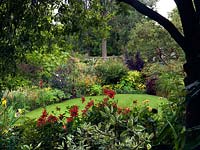 Lower garden hot border. View under pittosporum, over Dahlia 'Jescot Julie' and Longwood 'Dainty', to beds of grasses, helenium, rudbeckia, ricinus, echinacea, cuphea, helianthus, viburnum, cotinus, rose.