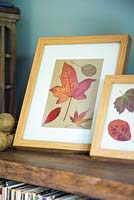 Pressed Autumnal leaves displayed in a photo frame
